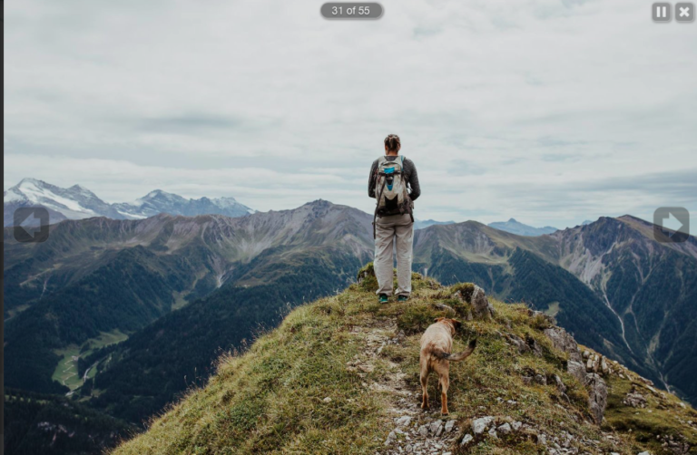 Screen Shot 2019-01-16 at 13.09.37